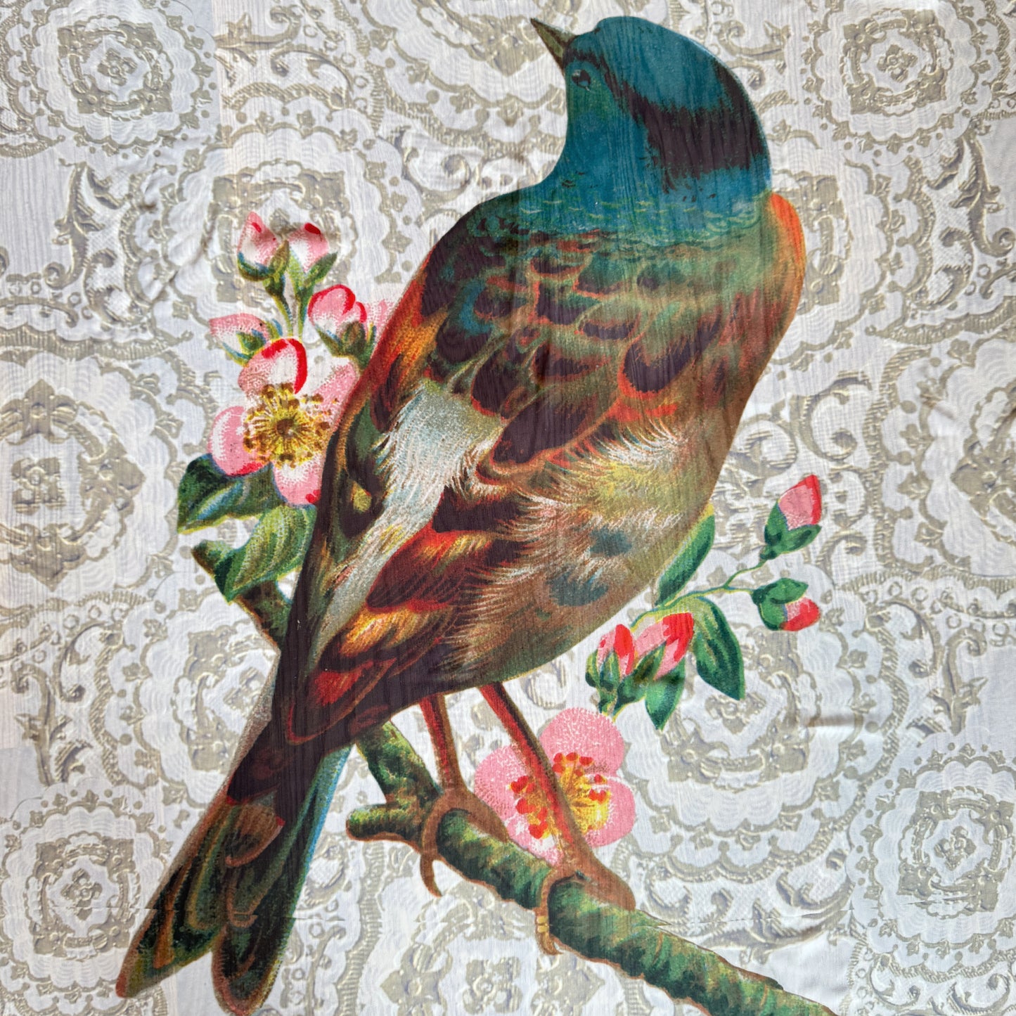 TUCH "PRACHTVOGEL"
